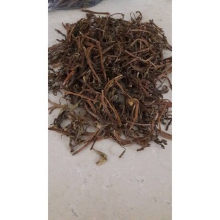 Cỏ khoái - cổ đại tràng hỗ trợ tiêu hóa và tiểu đường