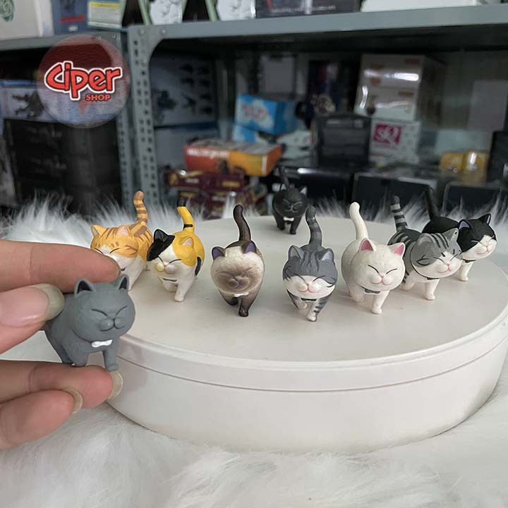 Bộ 9 mô hình Mèo Munchkin - Figure Action Cat