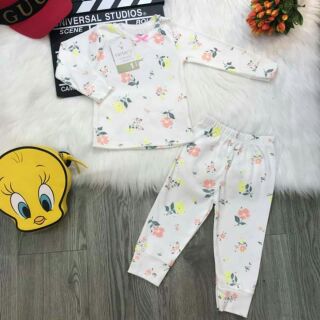Combo carter bozip cho bé trai/gái