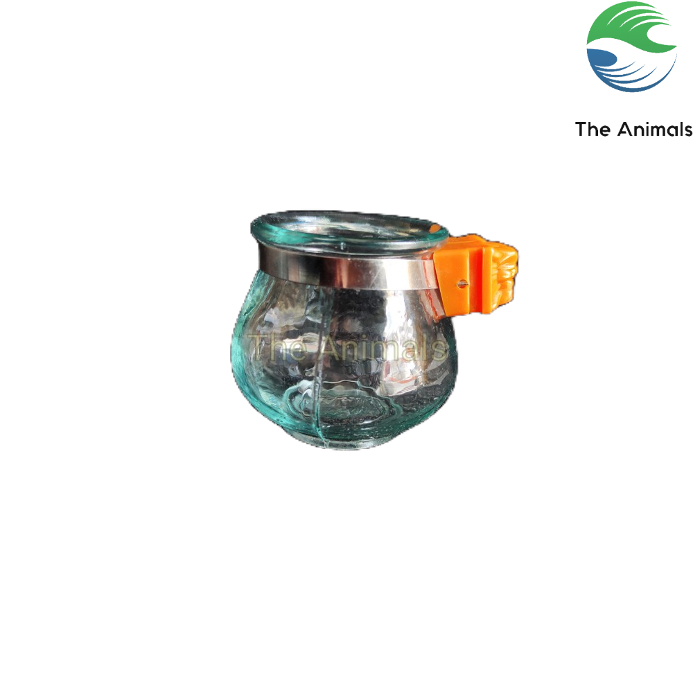 Cóng uống nước cho chim chào mào, chim khướu (thủy tinh tai cam)