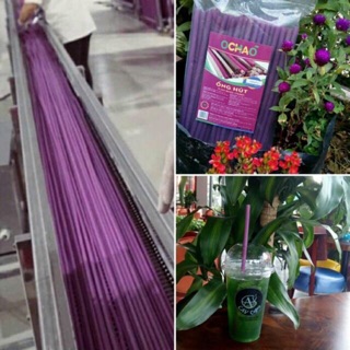 Ống Hút Bột Gạo Thùng 24gói