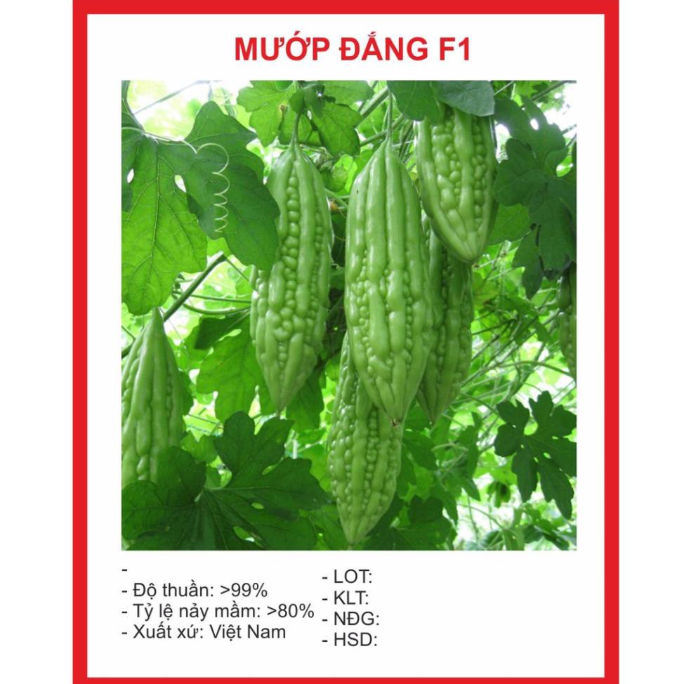 Hạt Giông Mướp Đắng 10 Hạt