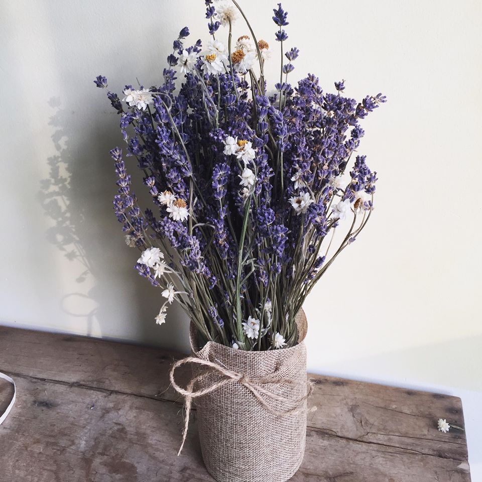 Hoa oải hương khô 💗FREESHIP💗 Hoa khô True Lavender nhập khẩu Pháp siêu tím, ít rụng