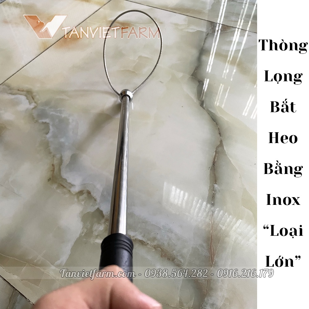 Thòng lọng, gậy bắt heo khớp mõm chó bằng inox, tay cầm cao su