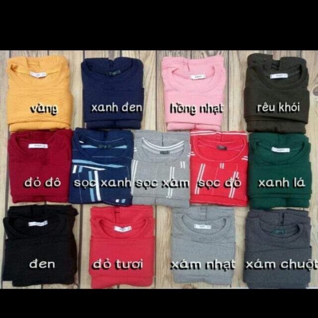 Combo đầm body len tăm tay dài