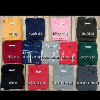 Combo đầm body len tăm tay dài