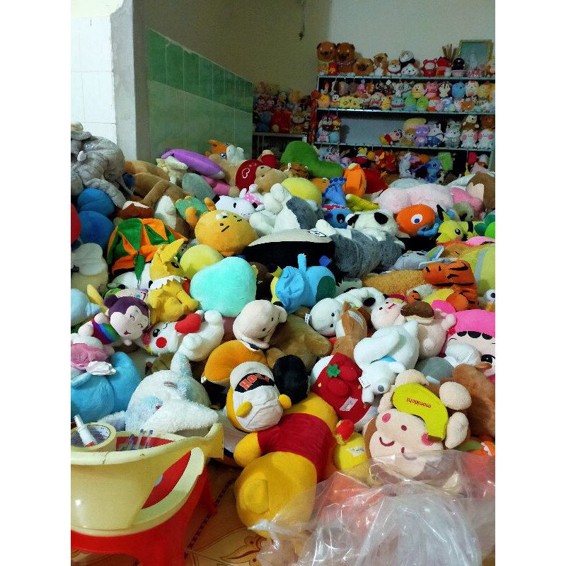 gấu của thu huyền