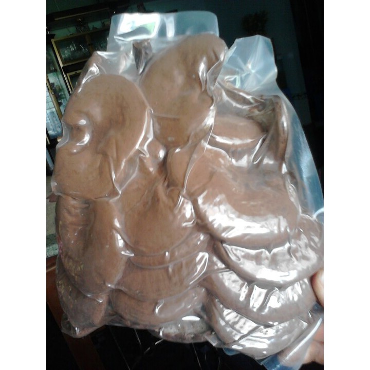 Nấm linh chi nhà trồng