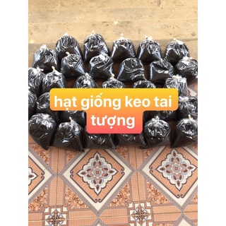 Hạt giống keo tai tượng 1kg