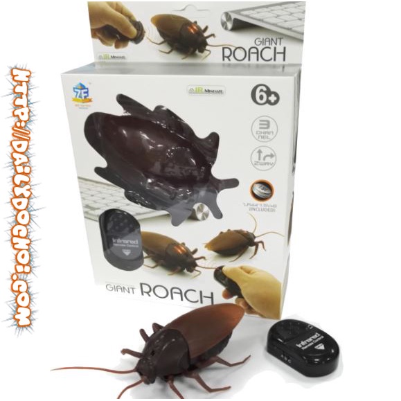 K28 GIÁN ĐIỀU KHIỂN TỪ XA ĐỘC ĐÁO