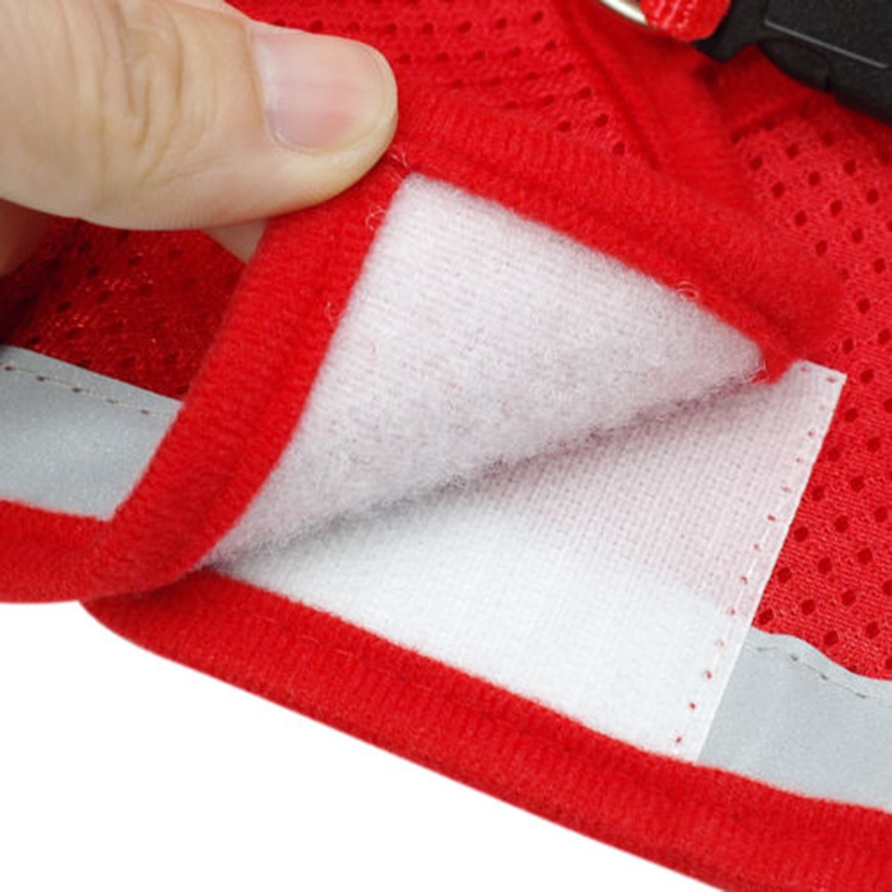 Dây Dắt Thú Cưng Đi Dạo Có Thể Điều Chỉnh Kích Thước