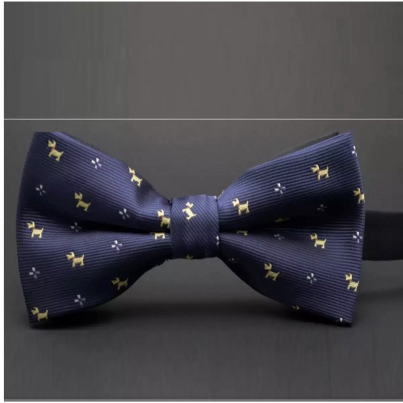 Nơ đeo cổ nam VINMEN