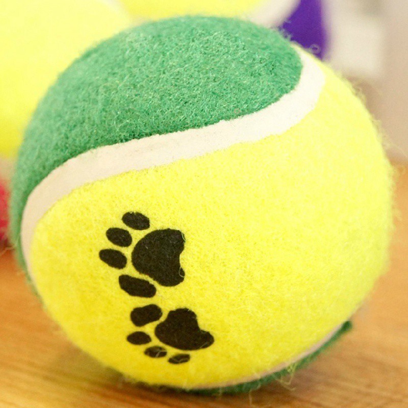 Bóng tennis gặm đồ chơi vui nhộn dành cho vật yêu