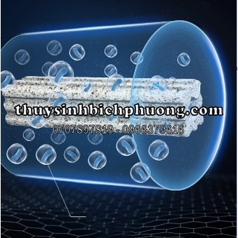 SỨ THANH LỌC ĐA GIÁC MUỐI TIÊU - CHUYÊN LỌC BỤI NUÔI VI SINH LÀM TRONG NƯỚC CHO HỒ CÁ THUỶ SINH