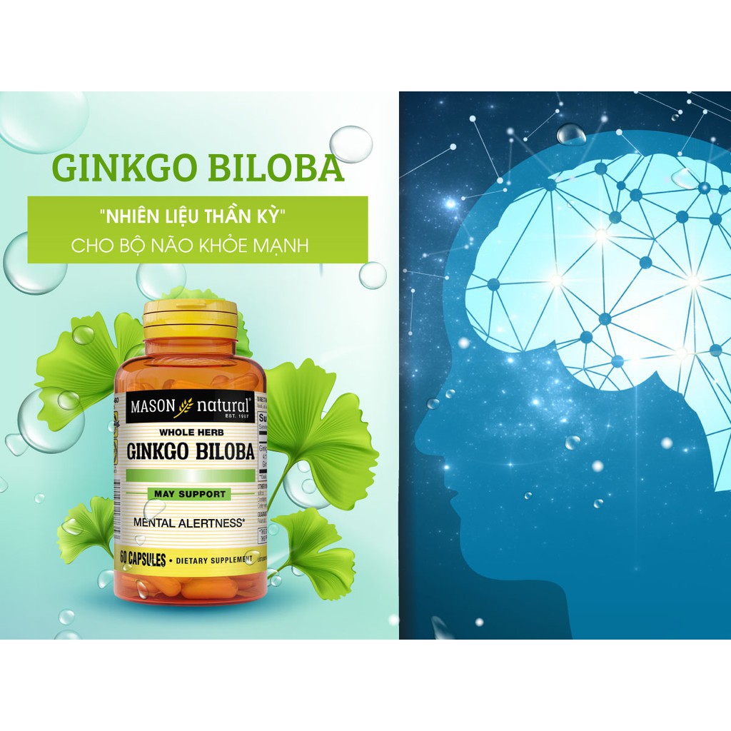 Ginkgo Biloba Mason Hộp 60 viên - Tăng cường tuần hoàn não, giảm thiểu triệu chứng đau đầu