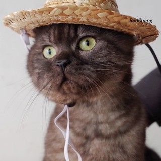 Nón Cối Rộng Vành Cho Thú Cưng