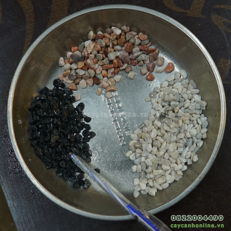 1kg sỏi trang trí tiểu cảnh trải mặt chậu cây cảnh để bàn