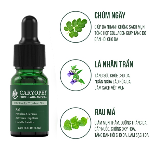 Serum rau má giảm mụn mờ thâm Caryophy Portulaca Ampoule (10ml 30ml)