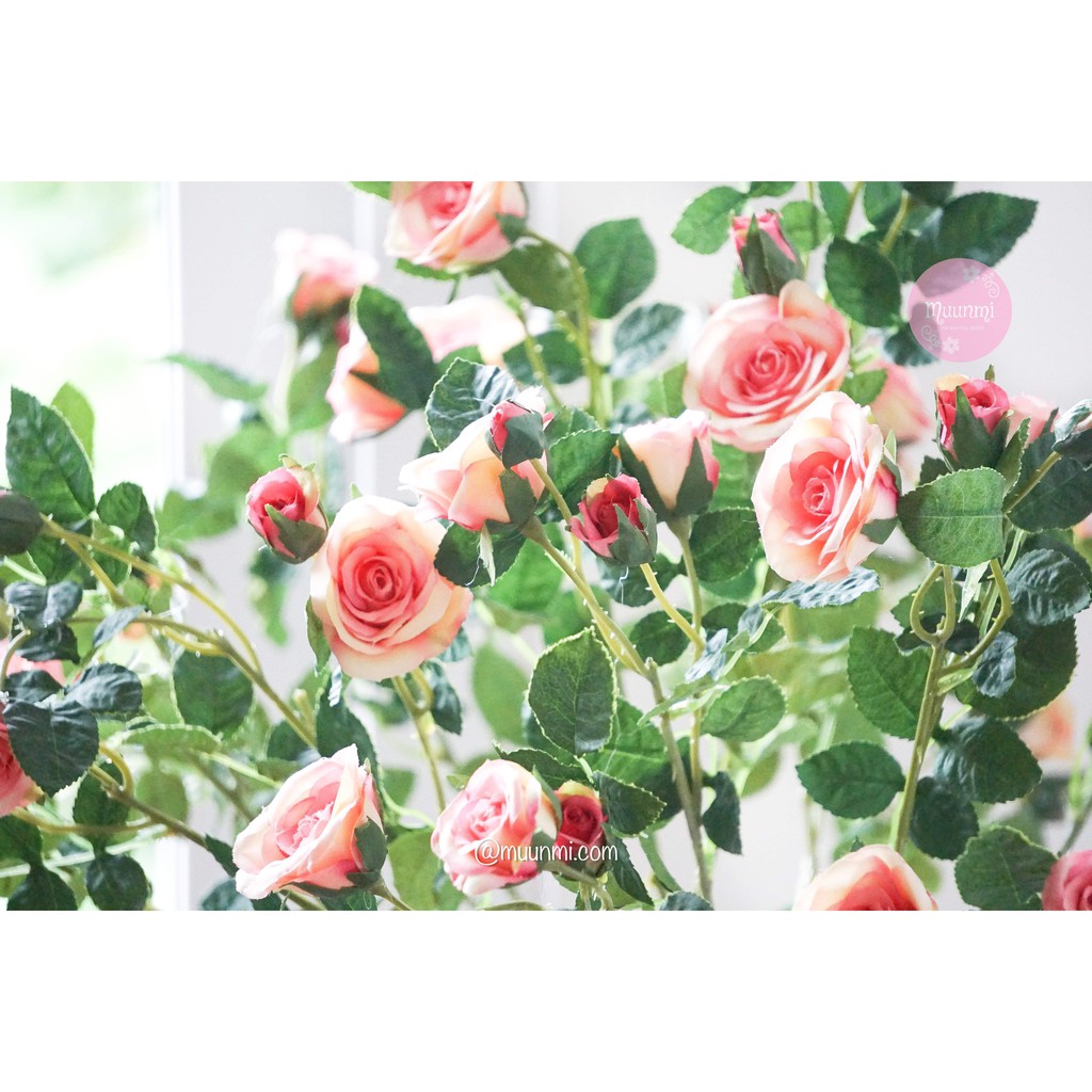 Hoa lụa Muunmi 🌸 | Hoa Hồng Tỉ Muội cắm bình hoa trang trí cực yêu