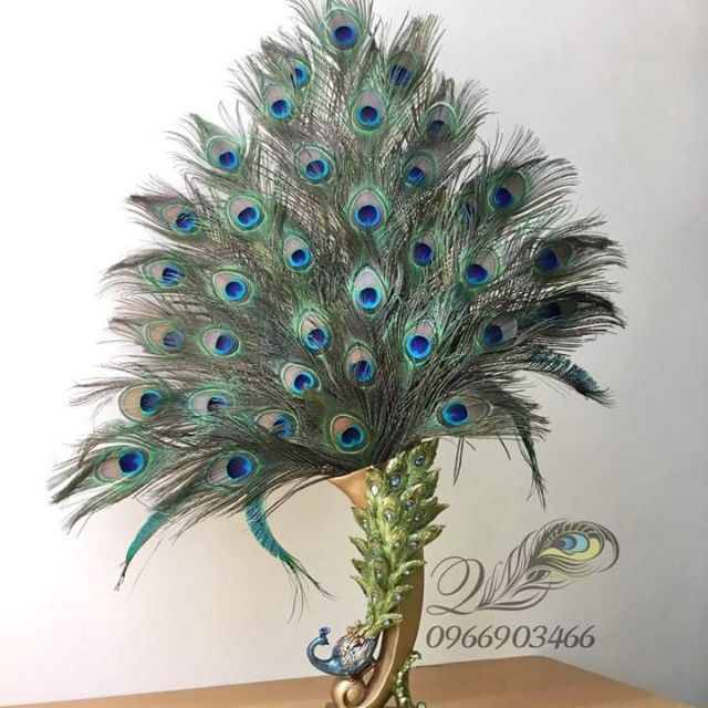 Compo thư nguyễn