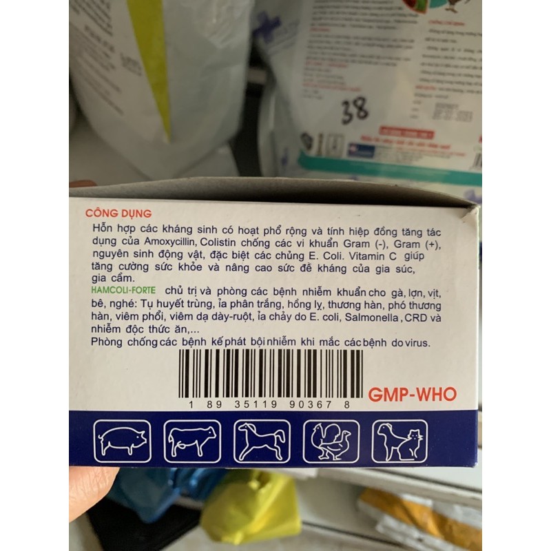 10g Amox Coli - phân xanh, phân trắng, phân vàng  chuyên dùng cho gà, vịt, ngan, chim cút, heo, bê, nghé