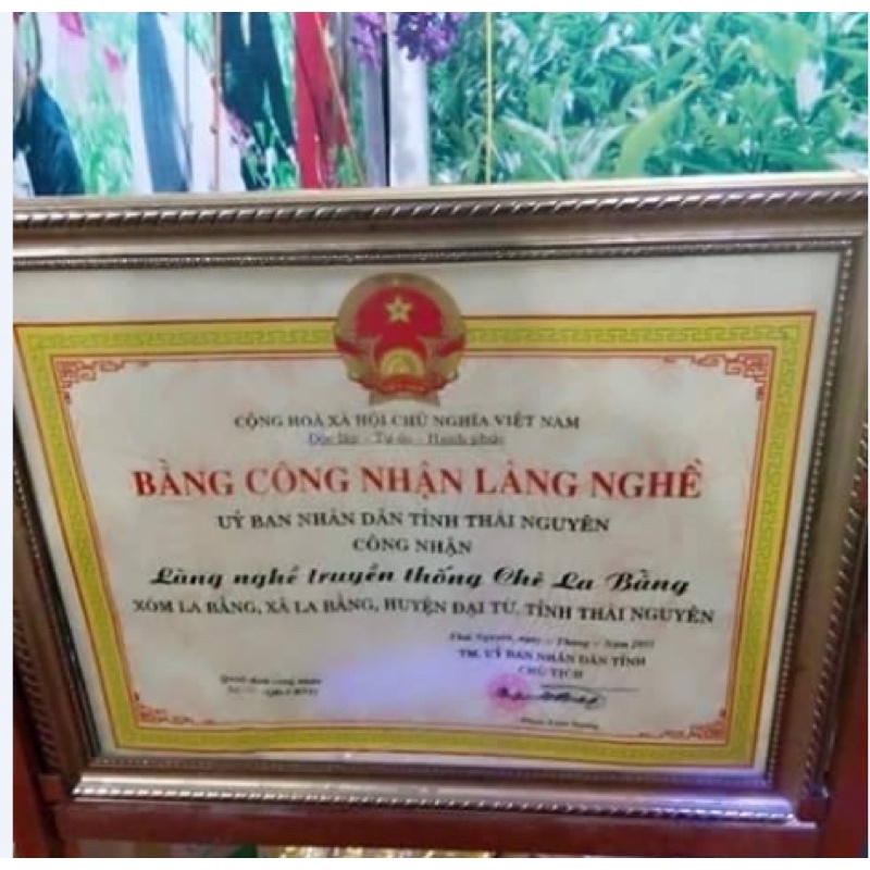 Chè Búp đặc sản Trà Thái Nguyên - Đặc sản La Bằng 🍀Uy tín - Chất lượng 🍀