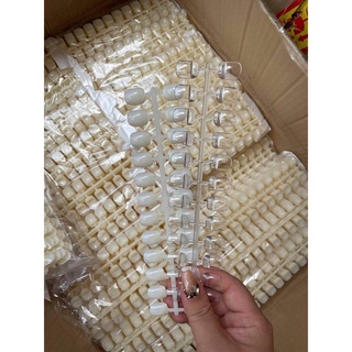 Móng Mẫu Tập Vẽ, Tập Sơn Móng Nail