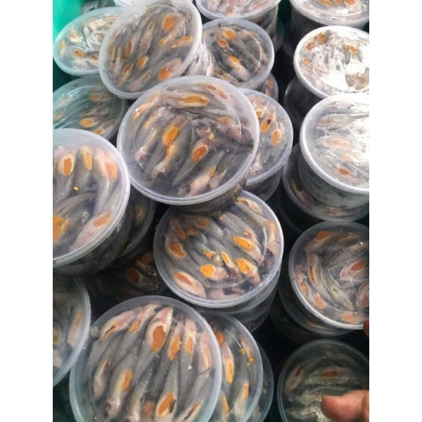 69k 500gr Cá Bóng Trứng