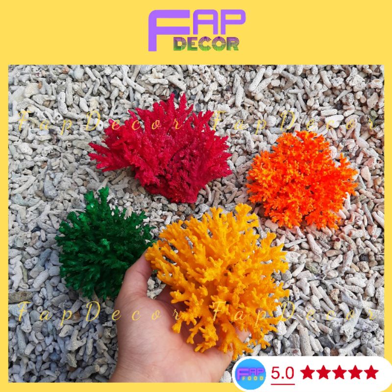 Bông Rạn Màu Siêu Đẹp Cho Bể Cá Trang Trí Bàn Làm Việc, San Hô Màu Siêu Đẹp Chất Lượng Giá Rẻ - FapFood