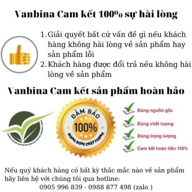 [GIÁ HỦY DIỆT] Mật ong hoa bạc hà Vanbina - 100ml Mật ong xuất khẩu Châu Âu