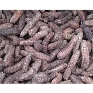 Quả Chuối Hột Rừng 1kg
