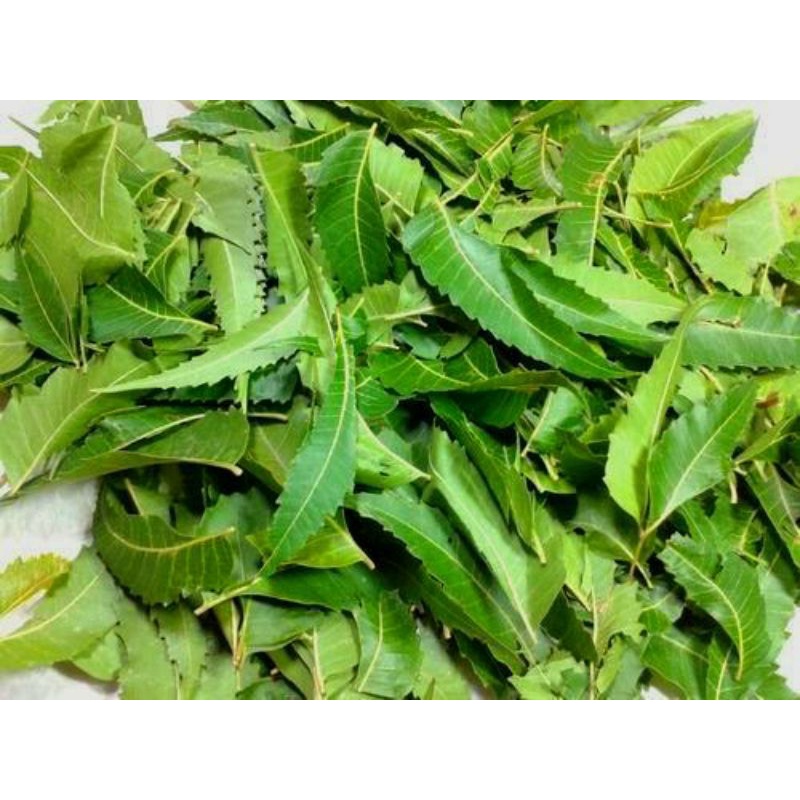 LÁ NEEM GỘI ĐẦU. 100GR