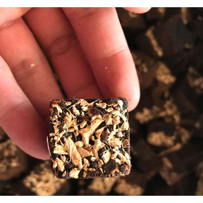 Trà gừng đường nâu cổ truyền (500G), giảm đau, say tàu xe, kích thích mọc tóc.........