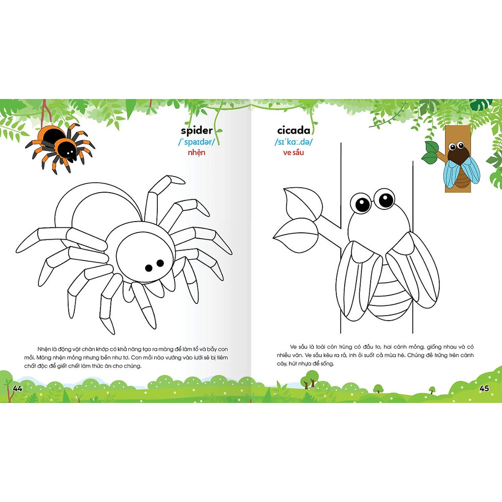 Sách Colouring 365 ngày Tô màu - KHÁM PHÁ THẾ GIỚI PHÁT TRIỂN TRÍ TUỆ - Động vật hoang dã, Khủng long, Bò sát, Côn trùng
