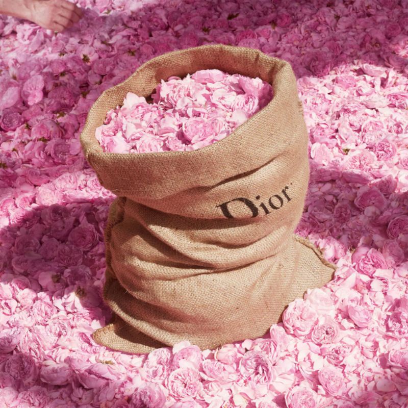 Nước hoa nữ Miss Dior Rose n Rose chính hãng, nước hoa hương hoa hồng