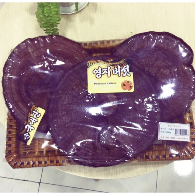 NẤM LINH CHI ĐỎ HÀN QUỐC ĐÓNG KHAY 1kg