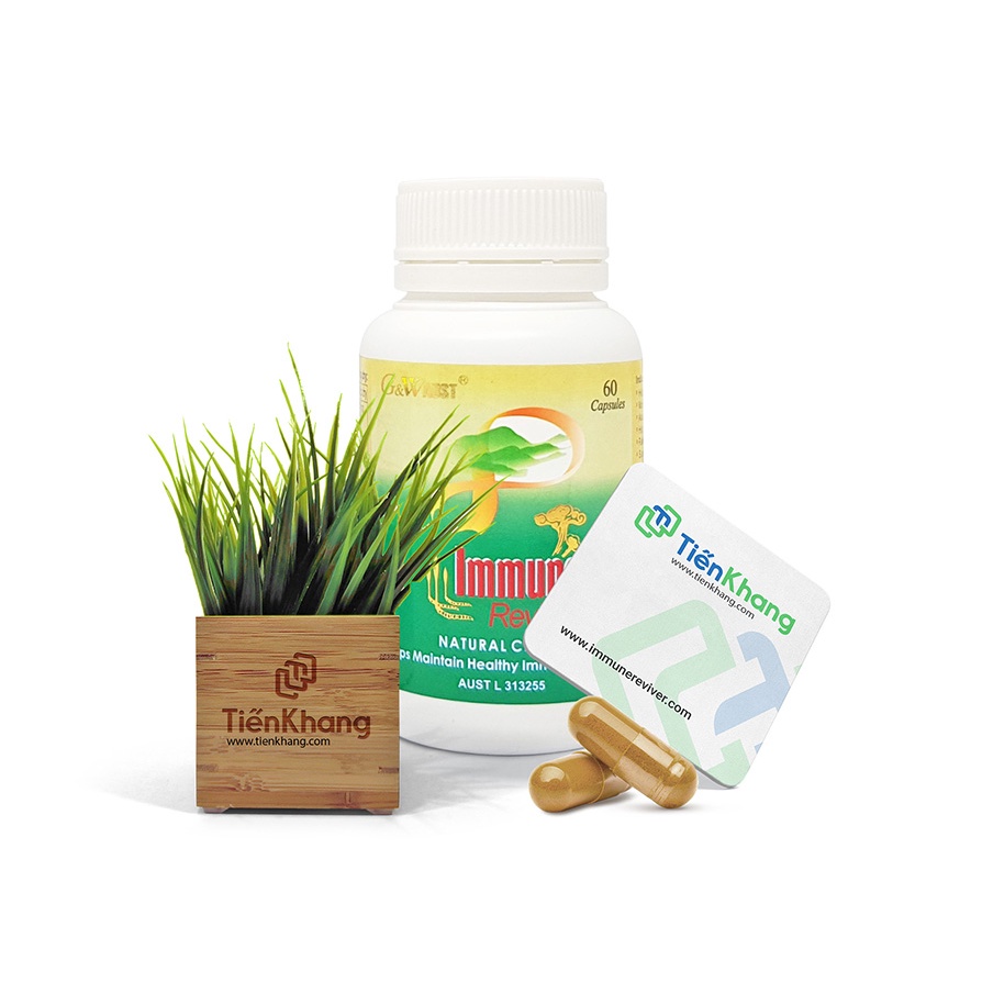 Immune reviver, Hồi sinh miễn dịch, Thảo dược thiên nhiên, Thực phẩm chức năng, Hỗ trợ tăng cường sức khỏe, Suy nhược
