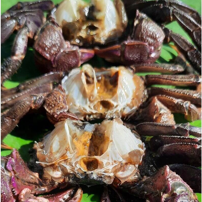 Ba khía trộn sẵn hũ 400 gram | BigBuy360 - bigbuy360.vn