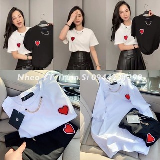 🌈phông❤️cổ xích