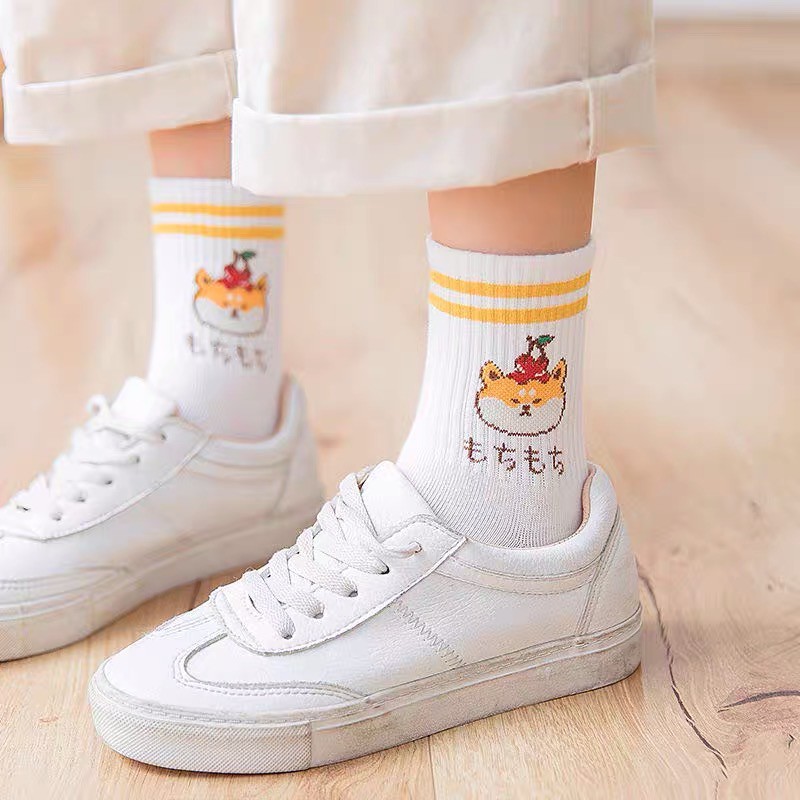 Combo 5 tất vớ gấu Nhật cổ cao ⚡️ 𝐅𝐑𝐄𝐄 𝐒𝐇𝐈𝐏 ⚡️Cotton mềm mại, style Hàn Quốc, hoạ tiết trẻ trung ♥️ Mã TR20