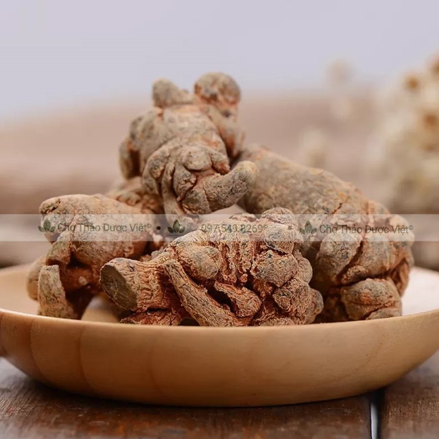 Củ tam thất bắc 200g (Tam thất bắc khô, thơm, loại 7 củ 100g) - Chợ Thảo Dược Việt