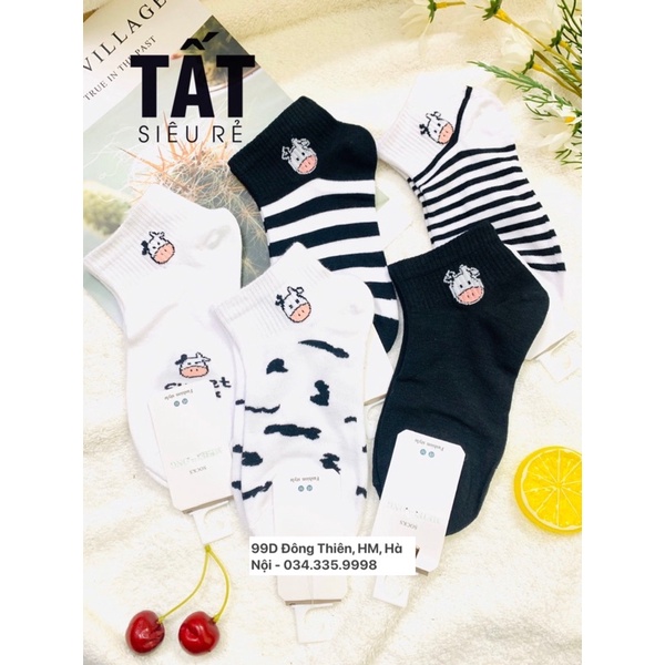 Set Tất Tuần - 7 Ngày Cổ Ngắn Nam Nữ Thoáng Mát Thấm Hút Chống Hôi - Tất Siêu Rẻ