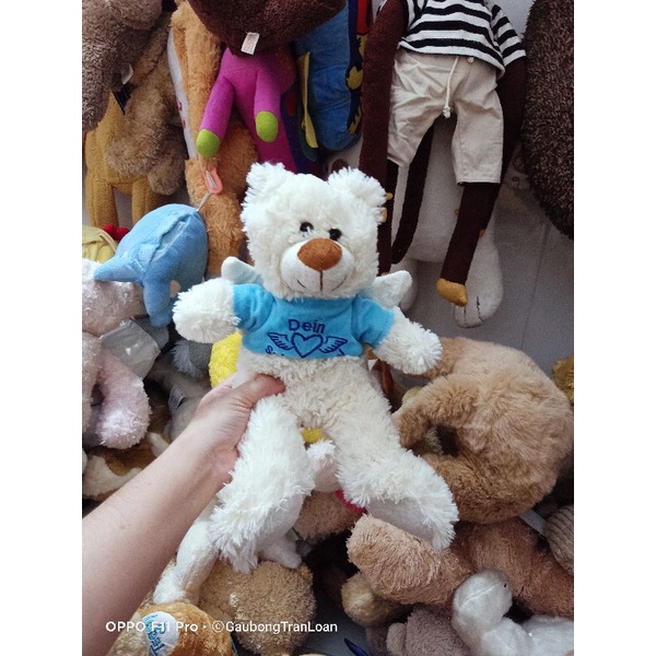 Gấu bông teddy size 40_50cm