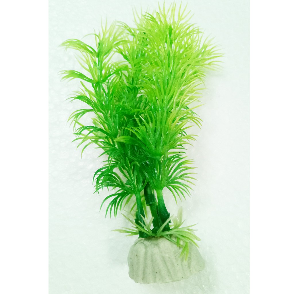 Cây Trang Trí Bể Cá Size Mini (Khoảng 12cm x 5cm Mỗi Cây) - Đồ Trang Trí Hồ Cá [RONG NHÍ]