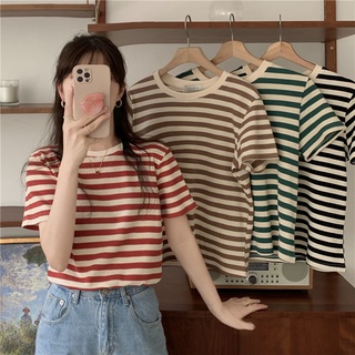 Áo Thun Nữ Hàng Quảng Châu Cotton Dệt Kim US 100%  Phông Nữ Cao Cấp Hàng Xịn