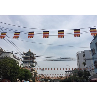 10m cờ dây phật giáo