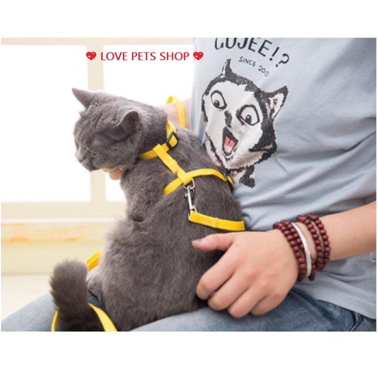 DÂY DẮT MÈO KÈM YẾM &quot;MẪU MỚI&quot; - LOVE PETS SHOP