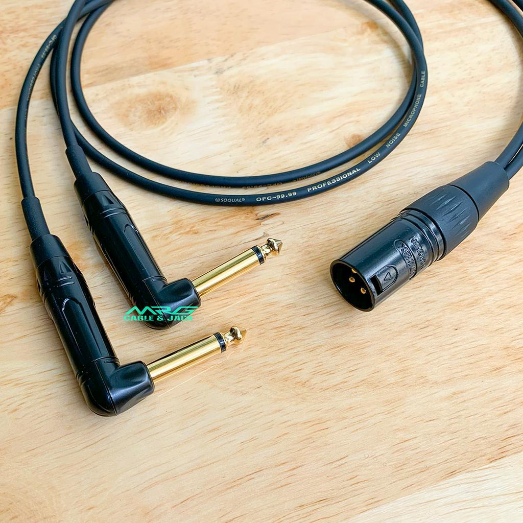 Dây 2 Đầu 6 Ly Ra 1 Đầu Canon Đực, dài 0.5met và 1met, giá 1 dây.