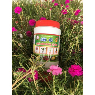 PHÂN BÓN HỮU CƠ NHẬT BẢN GSX 03 HŨ 300GR - chuyên dùng cho các loài hoa và cây cảnh