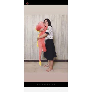 gấu bông khủng Long Tinh nghịch